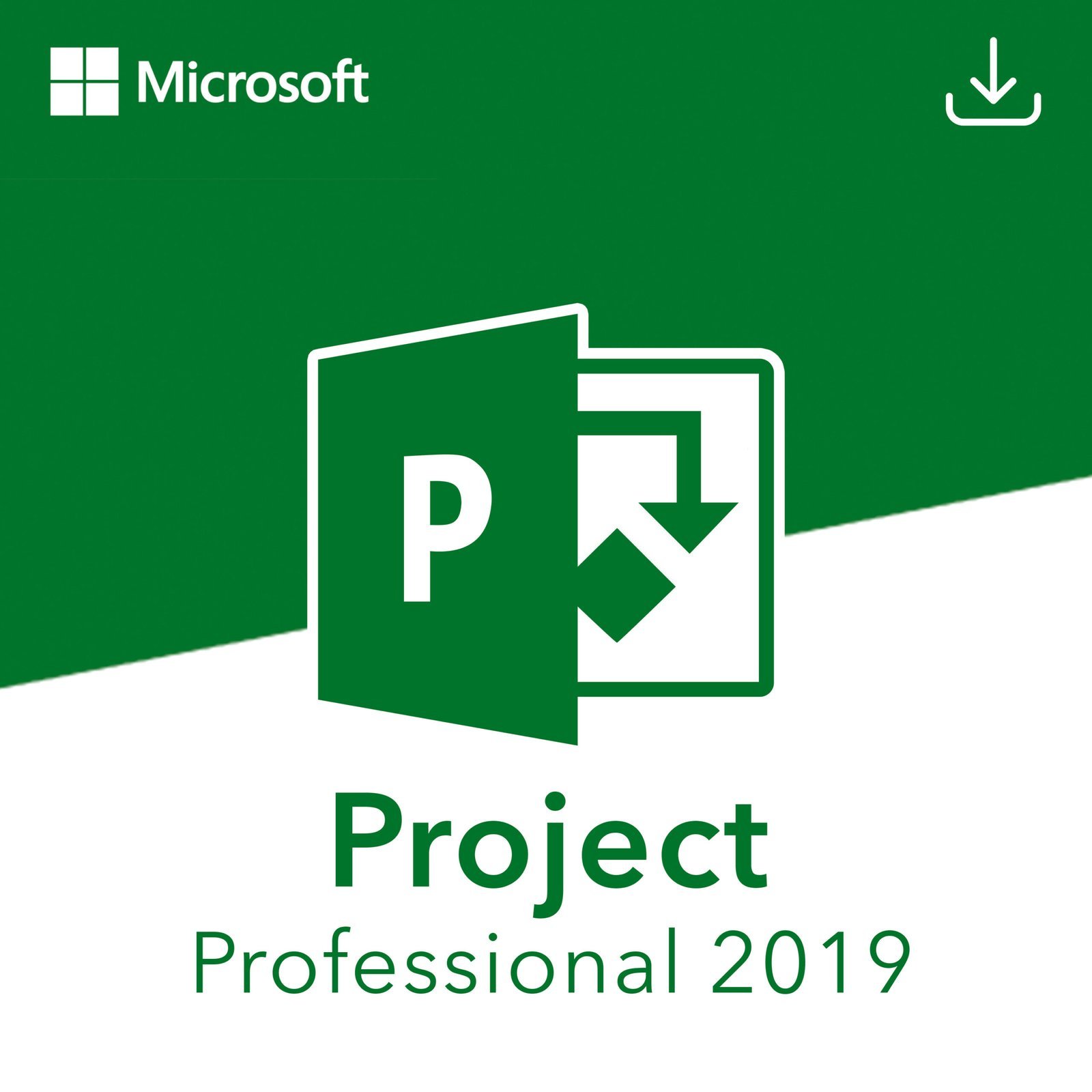 Microsoft Project 2019 Professional for 1 PC Quincode