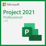 Microsoft Project 2021 Professional for 1 PC Quincode