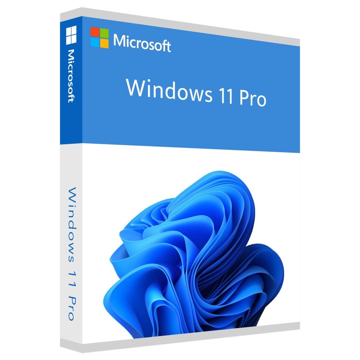 Microsoft Windows 11 Professional for 1 PC Quincode