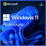 Microsoft Windows 11 Professional for 1 PC Quincode